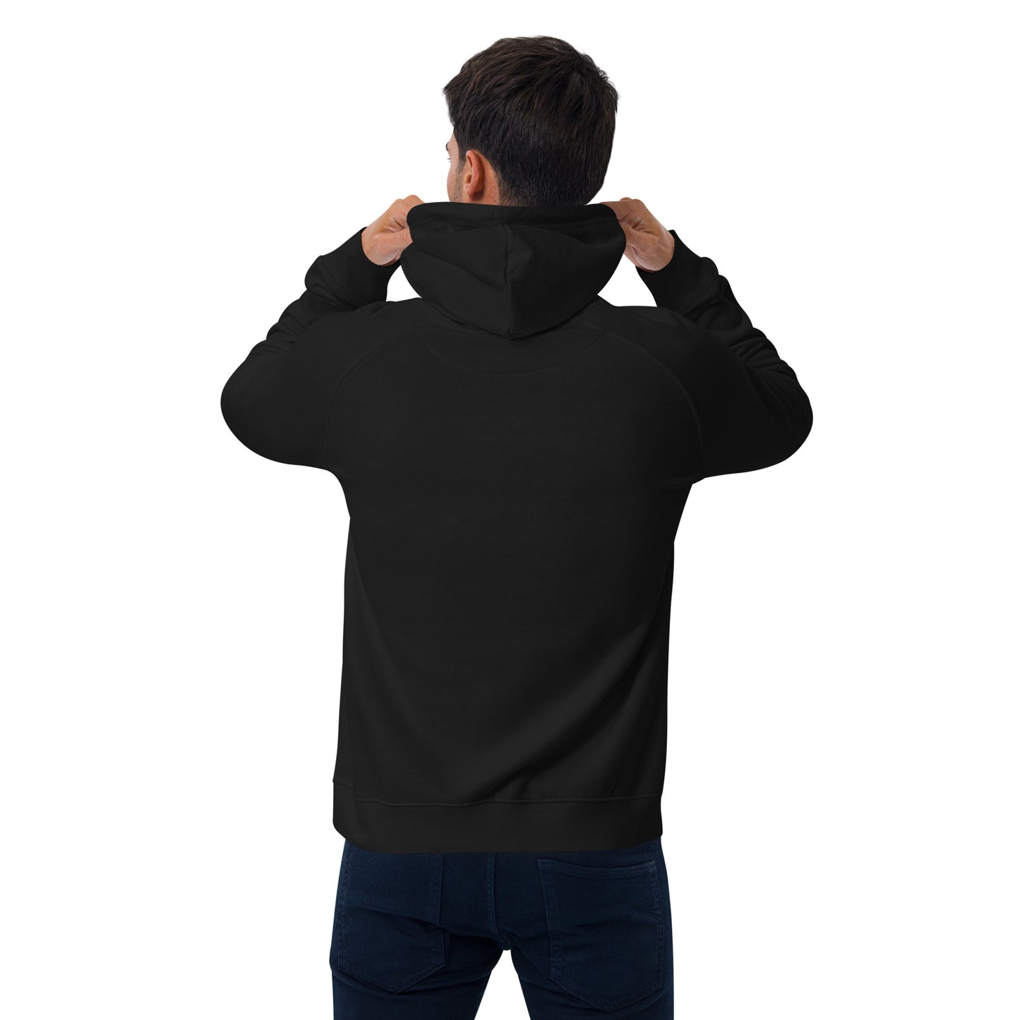 Renaissance Sound Logo Unisex eco raglan hoodie