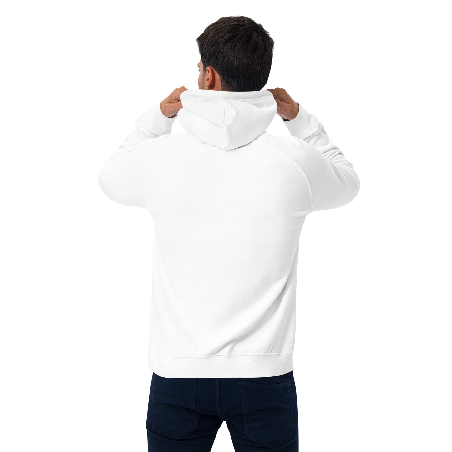 Renaissance Sound Logo Unisex eco raglan hoodie